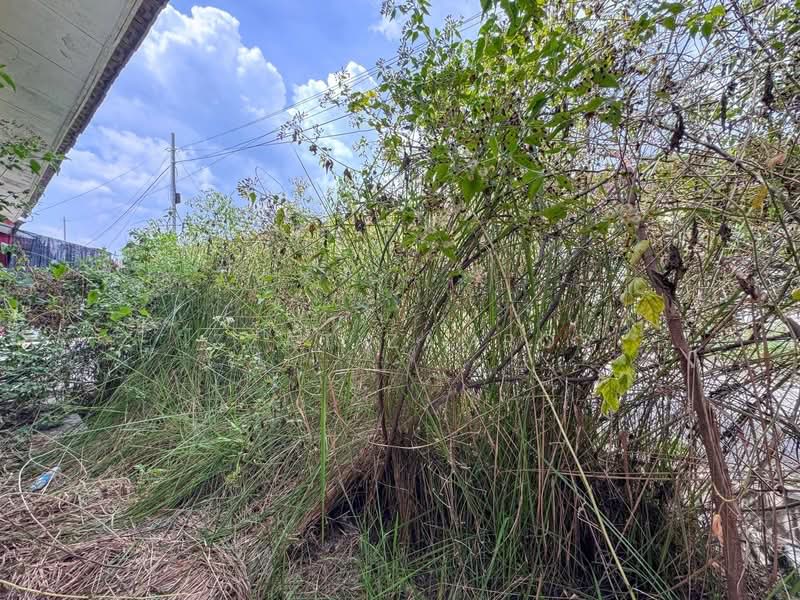 1-storey Terraced House for Sale in Alam Perdana (Puncak Alam) - Izzat Zamros - Exterior - PropertyGuru.com.my