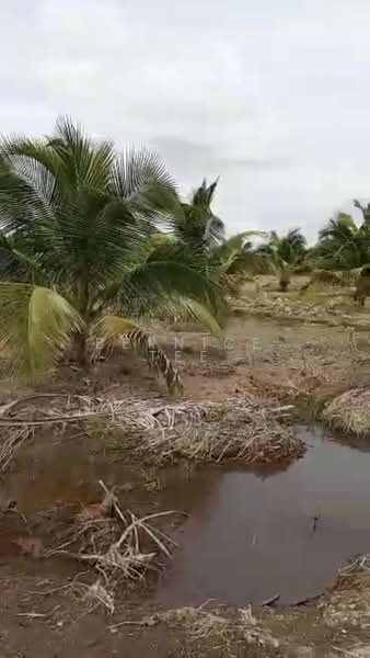 Agricultural Land for Sale in Kampung Lukut (Kota Tinggi) - Bernice Tee - Exterior - PropertyGuru.com.my
