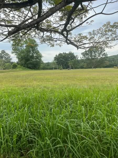 Residential Land for Sale in Leisure Farm (Gelang Patah) - Ying Xuan - Exterior - PropertyGuru.com.my