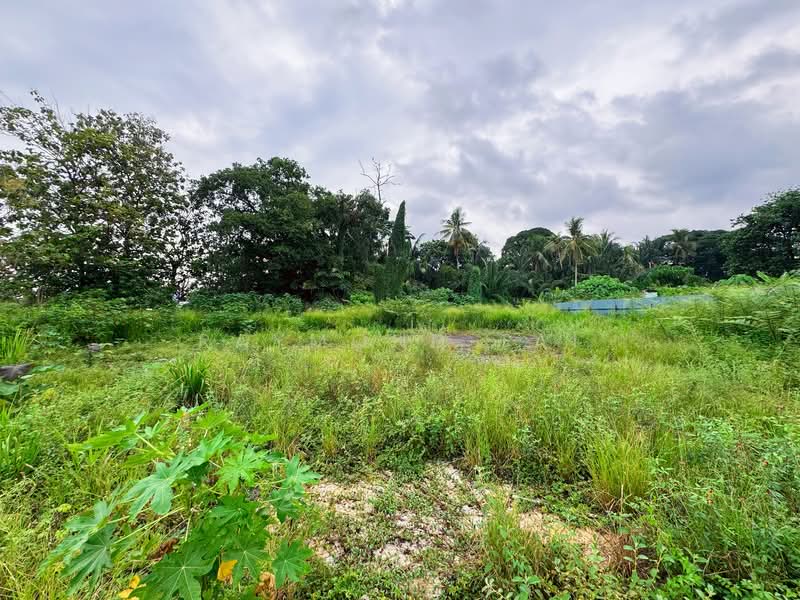 Tanah Pertanian untuk Disewa di Bukit Mertajam (Penang) - Raymond Tai - Exterior - PropertyGuru.com.my