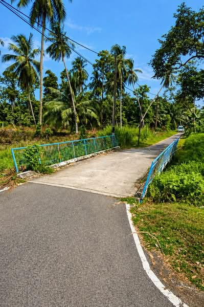 Agricultural Land for Sale in Pontian (Johor) - Joreen Lee - Exterior - PropertyGuru.com.my