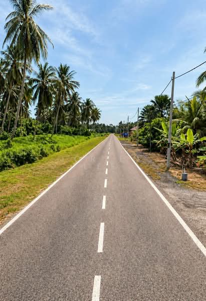 Agricultural Land for Sale in Pontian (Johor) - Joreen Lee - Exterior - PropertyGuru.com.my