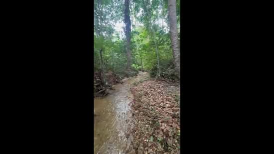 Tanah Pertanian untuk Dijual di Batang Kali (Selangor) - Shiqin Saidin - PropertyGuru.com.my