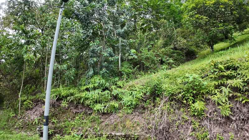 Tanah Pertanian untuk Dijual di Ulu Yam (Selangor) - Shiqin Saidin - Exterior - PropertyGuru.com.my