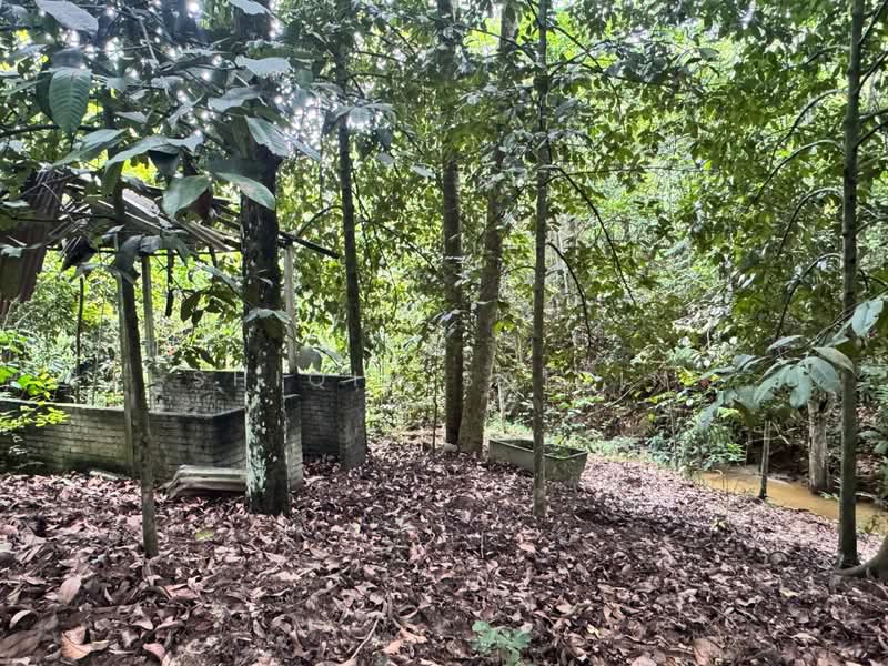Tanah Pertanian untuk Dijual di Batang Kali (Selangor) - Shiqin Saidin - PropertyGuru.com.my