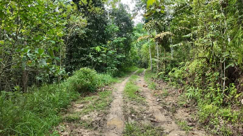 Tanah Pertanian untuk Dijual di Batang Kali (Selangor) - Shiqin Saidin - Exterior - PropertyGuru.com.my