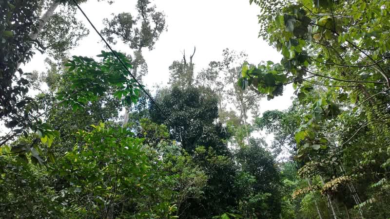 Tanah Pertanian untuk Dijual di Batang Kali (Selangor) - Shiqin Saidin - Exterior - PropertyGuru.com.my