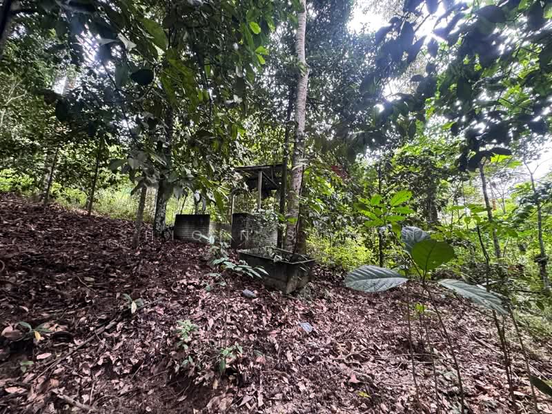 Tanah Pertanian untuk Dijual di Ulu Yam (Selangor) - Shiqin Saidin - Exterior - PropertyGuru.com.my