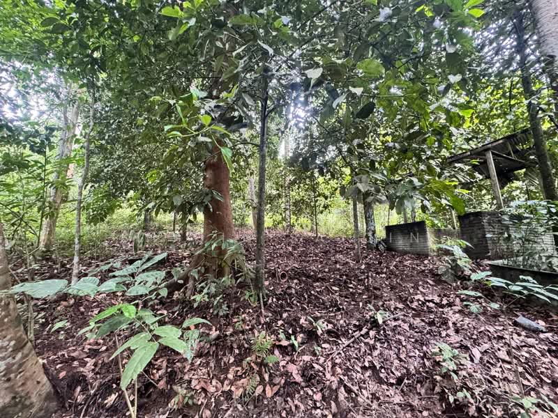 Tanah Pertanian untuk Dijual di Ulu Yam (Selangor) - Shiqin Saidin - Exterior - PropertyGuru.com.my
