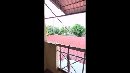 Rumah Bandar untuk Dijual di Taman Penaga Permai (Penaga) - Aswad . - PropertyGuru.com.my