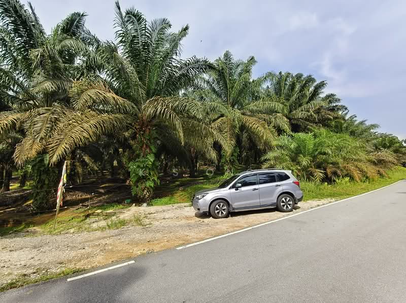 Agricultural Land for Sale in Johor Bahru (Johor) - K S Ong - Exterior - PropertyGuru.com.my