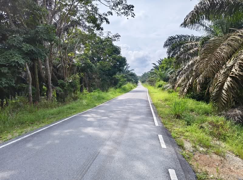 Agricultural Land for Sale in Johor Bahru (Johor) - K S Ong - PropertyGuru.com.my