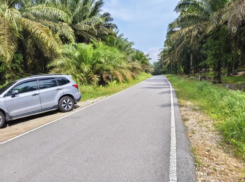 Agricultural Land for Sale in Johor Bahru (Johor) - K S Ong - Exterior - PropertyGuru.com.my