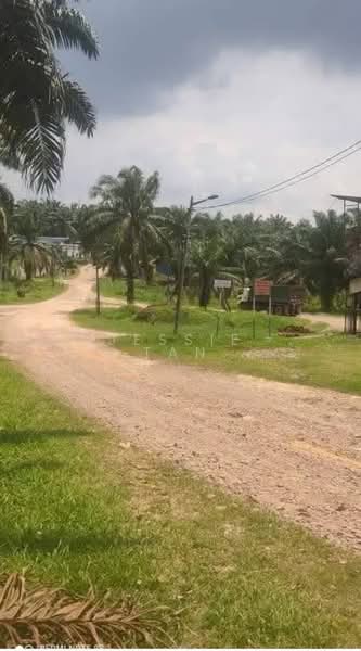 Agricultural Land for Sale in Paloh (Johor) - Jessie Tan - Exterior - PropertyGuru.com.my