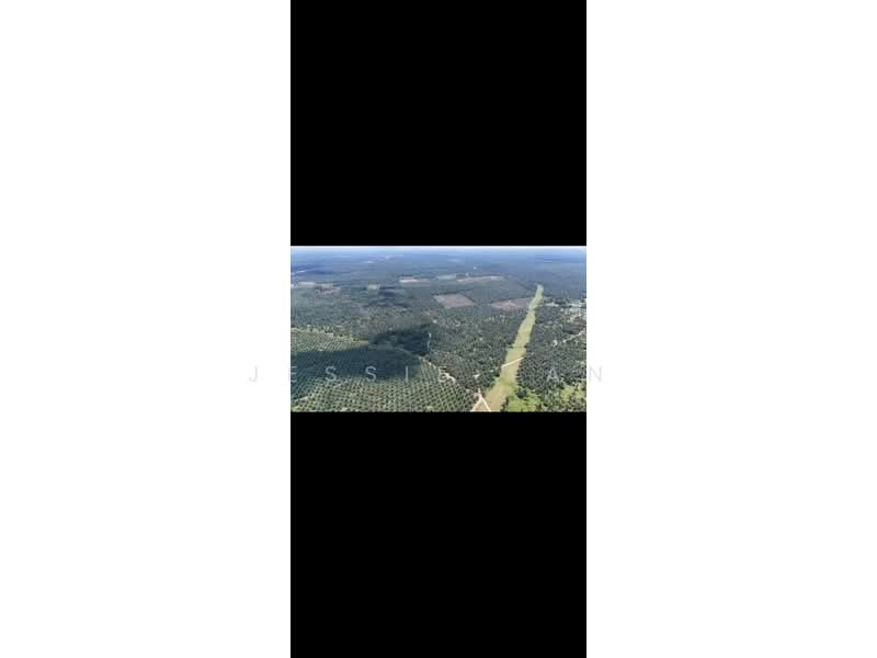 Agricultural Land for Sale in Paloh (Johor) - Jessie Tan - Exterior - PropertyGuru.com.my