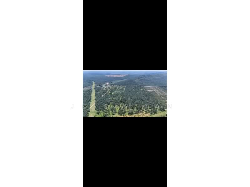 Agricultural Land for Sale in Paloh (Johor) - Jessie Tan - Exterior - PropertyGuru.com.my