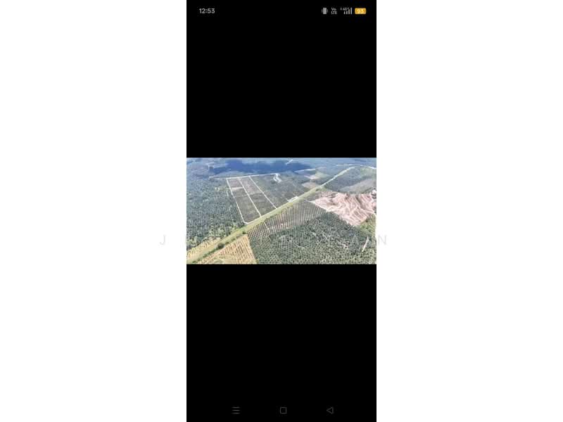 Agricultural Land for Sale in Paloh (Johor) - Jessie Tan - Exterior - PropertyGuru.com.my