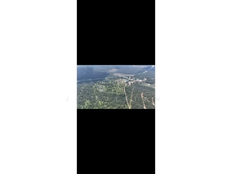 Agricultural Land for Sale in Paloh (Johor) - Jessie Tan - Exterior - PropertyGuru.com.my