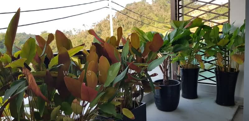 Rumah Teres 2 Tingkat untuk Dijual di Hill Park (Semenyih) - Wesley Chin - Balcony - PropertyGuru.com.my