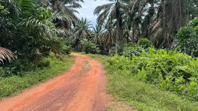 Tanah Pertanian untuk Dijual di Layang Layang (Johor) - Jessie Tan - Exterior - PropertyGuru.com.my