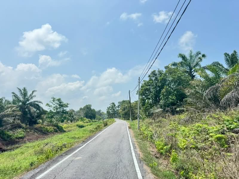 Agricultural Land for Sale in Pontian (Johor) - Jessie Tan - Exterior - PropertyGuru.com.my