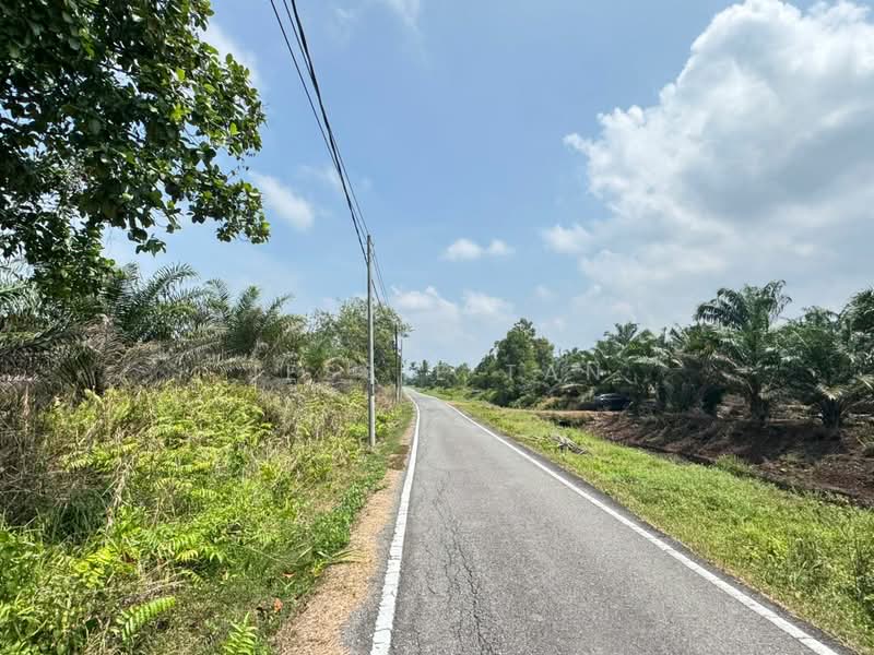 Agricultural Land for Sale in Pontian (Johor) - Jessie Tan - Exterior - PropertyGuru.com.my