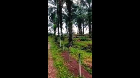 Tanah Pertanian untuk Dijual di Kampung Parit Haji Idris (Grisek) - NOOR HAFIZAH - PropertyGuru.com.my