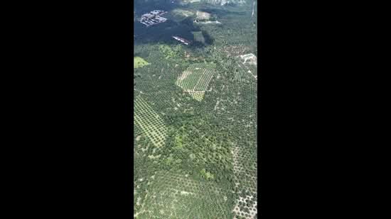 Agricultural Land for Sale in Batu Pahat (Johor) - AIRUL NIZAM - PropertyGuru.com.my