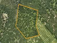 For Sale - Kangkar Senangar, Parit Sulong, Batu Pahat