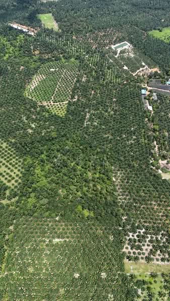 Agricultural Land for Sale in Batu Pahat (Johor) - AIRUL NIZAM - Exterior - PropertyGuru.com.my