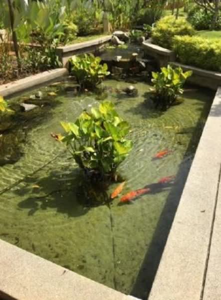 Banglo Lot Kosong untuk Dijual di Ampang (Kuala Lumpur) - Ck Lau - Garden - PropertyGuru.com.my