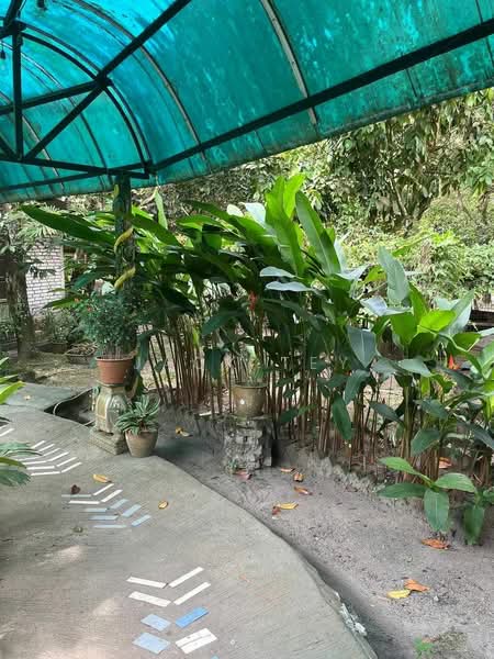 Hotel / Resort untuk Dijual di Taman Perindustrian Murni Senai (Senai) - Jack Tey - Garden - PropertyGuru.com.my