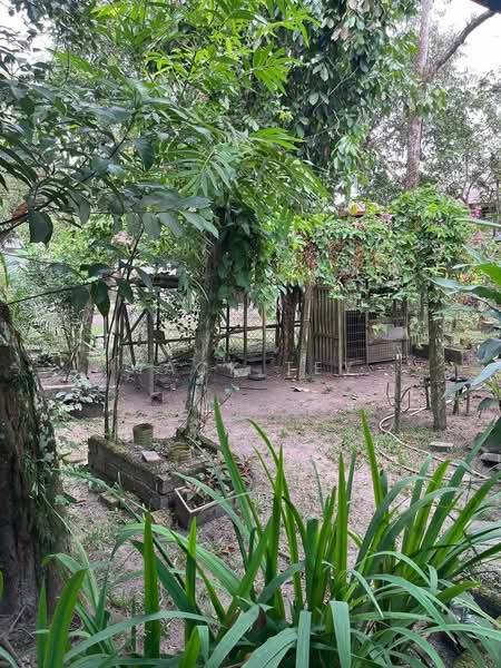 Hotel / Resort untuk Dijual di Taman Perindustrian Murni Senai (Senai) - Jack Tey - Garden - PropertyGuru.com.my