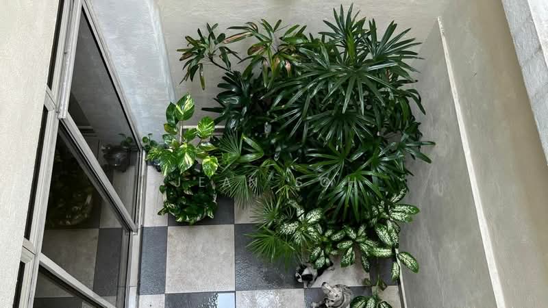 2.5-storey Terraced House for Sale in Usj 16 (Subang Jaya) - Jean Soh - Balcony - PropertyGuru.com.my