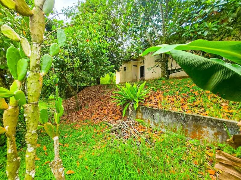 Bungalow for Sale in Kampung Sungai Penchala (Sungai Penchala) - Zul Syafiq - Exterior - PropertyGuru.com.my