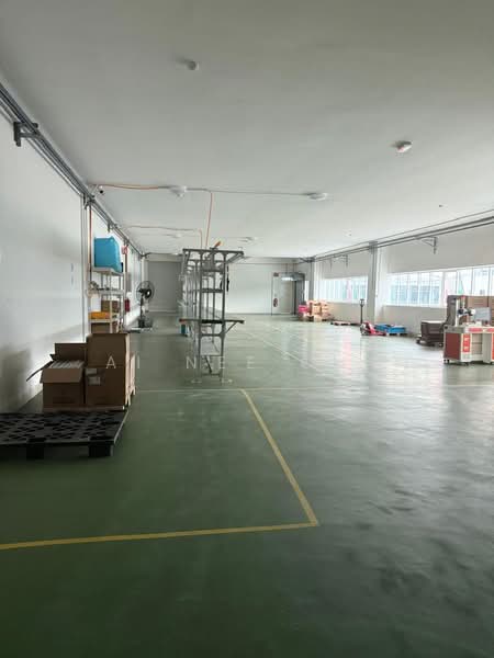 Kilang untuk Disewa di Bandar Cassia (Batu Kawan) - Ai Nee Cha - PropertyGuru.com.my