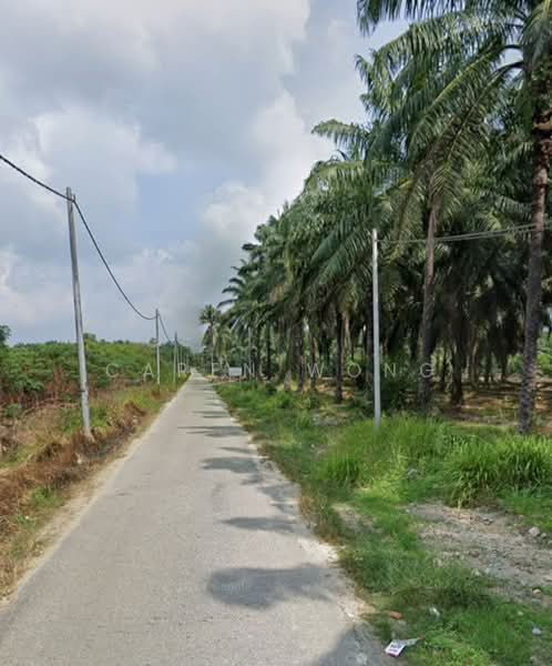 Agricultural Land for Sale in Ayer Tawar (Sitiawan) - Caren Wong - Exterior - PropertyGuru.com.my