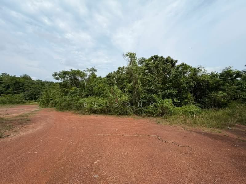 Tanah Pertanian untuk Dijual di Paya Rumput (Melaka) - BL Bong - Exterior - PropertyGuru.com.my