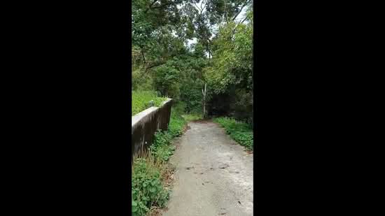 Agricultural Land for Sale in Balik Pulau (Penang) - Su Sim - PropertyGuru.com.my