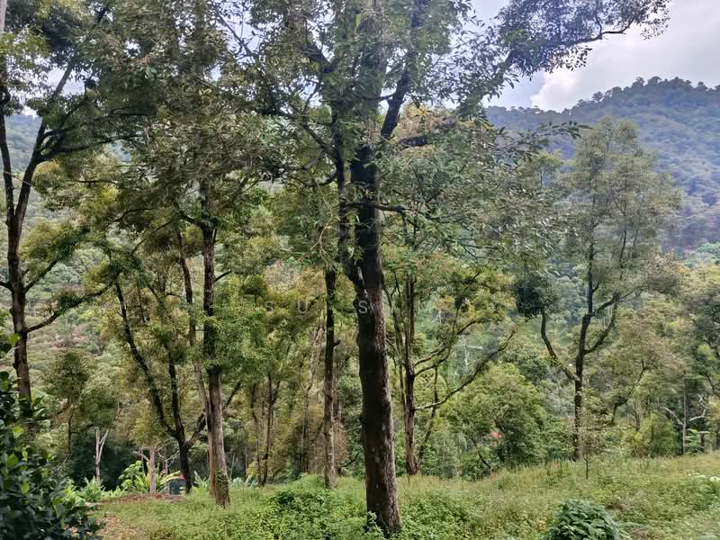Agricultural Land for Sale in Balik Pulau (Penang) - Su Sim - Exterior - PropertyGuru.com.my