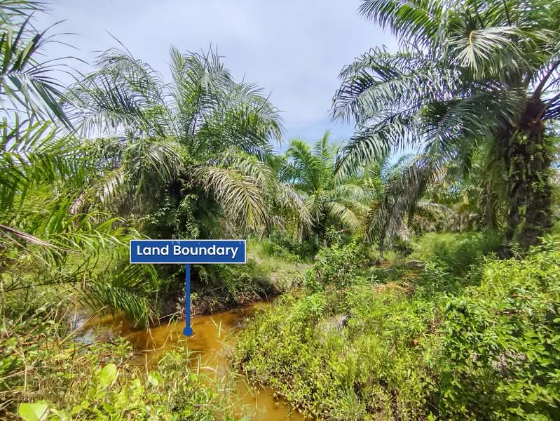 Tanah Pertanian untuk Dijual di Sabak Bernam (Selangor) - N. Melisa - Garden - PropertyGuru.com.my