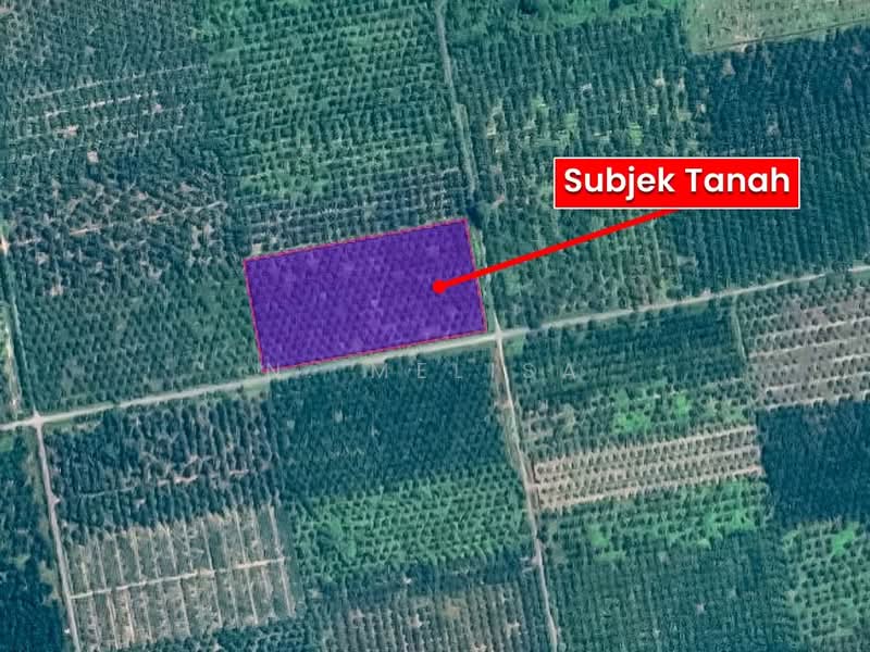 Tanah Pertanian untuk Dijual di Sabak Bernam (Selangor) - N. Melisa - PropertyGuru.com.my