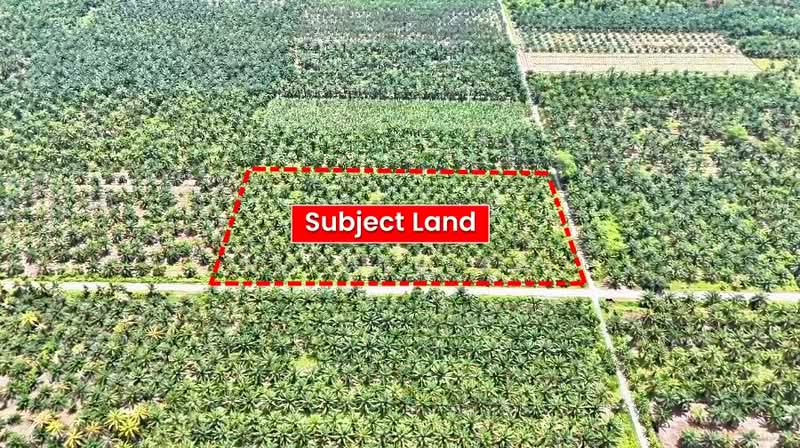 Tanah Pertanian untuk Dijual di Sabak Bernam (Selangor) - N. Melisa - PropertyGuru.com.my