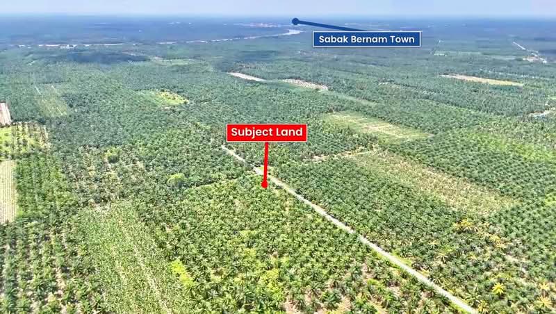 Tanah Pertanian untuk Dijual di Sabak Bernam (Selangor) - N. Melisa - Exterior - PropertyGuru.com.my