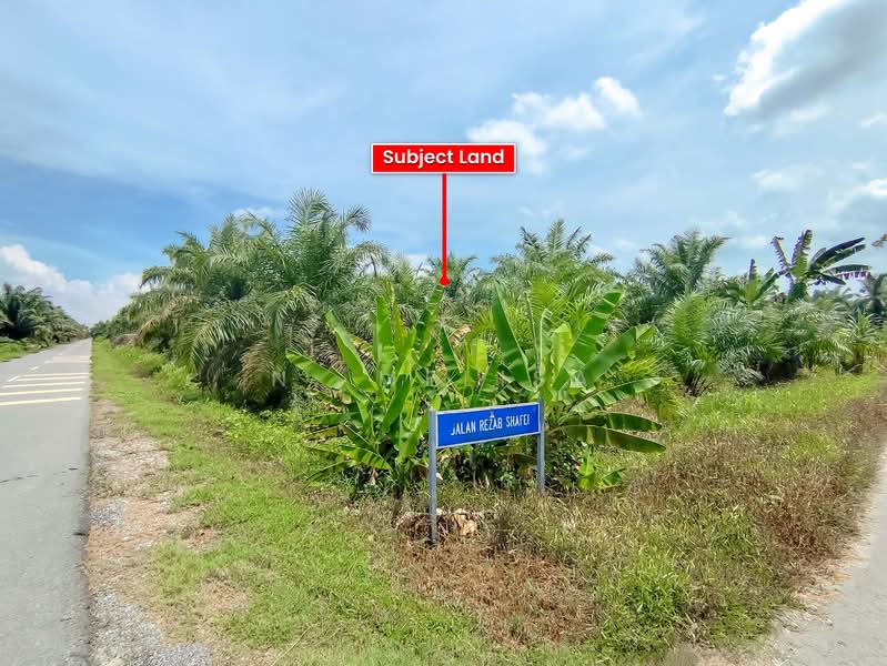 Tanah Pertanian untuk Dijual di Sabak Bernam (Selangor) - N. Melisa - PropertyGuru.com.my