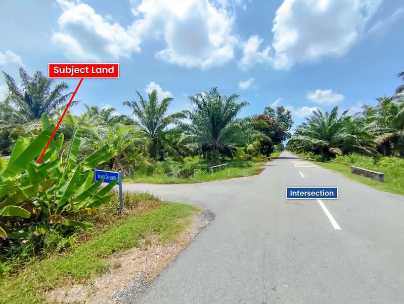 Tanah Pertanian untuk Dijual di Sabak Bernam (Selangor) - N. Melisa - PropertyGuru.com.my