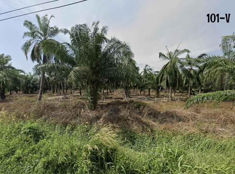 Other Property for Sale in Kampung Tok Muda (Kapar) - Yap Chew Ying - Exterior - PropertyGuru.com.my