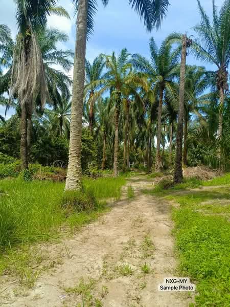 Other Property for Sale in Kampung Tok Muda (Kapar) - Yap Chew Ying - Exterior - PropertyGuru.com.my
