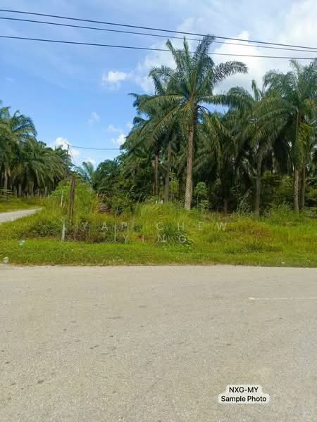 Other Property for Sale in Kampung Tok Muda (Kapar) - Yap Chew Ying - Exterior - PropertyGuru.com.my