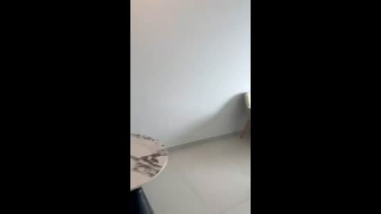 Condominium for Rent at Ataraxia Park @ Forest City - Xue Li - PropertyGuru.com.my